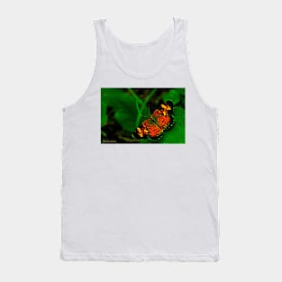 Butterfly Visit Tank Top